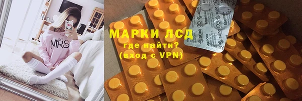 спайс Богданович