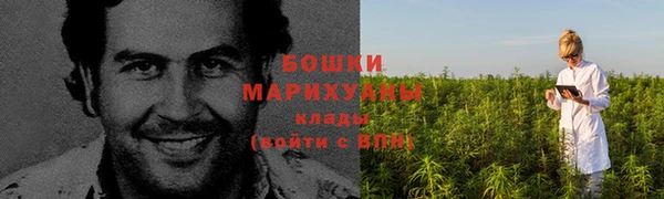 спайс Богданович