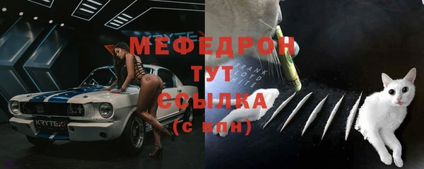 спайс Богданович