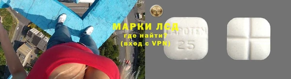 спайс Богданович