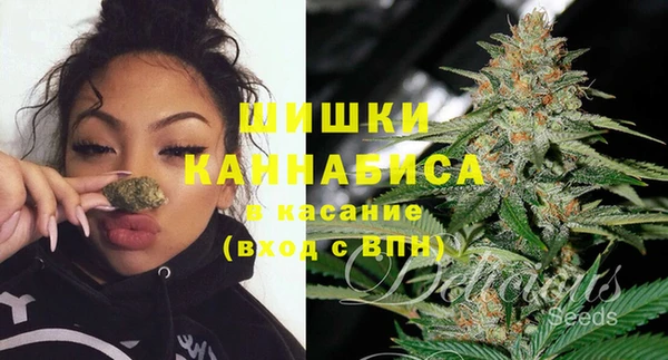 бошки Богородицк