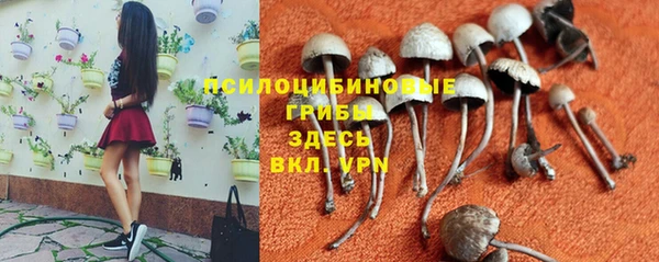 кокс Богородск
