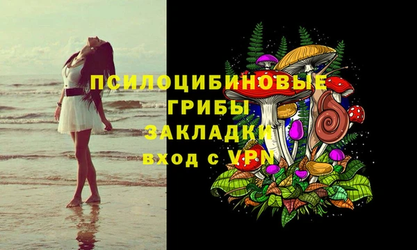 спайс Богданович