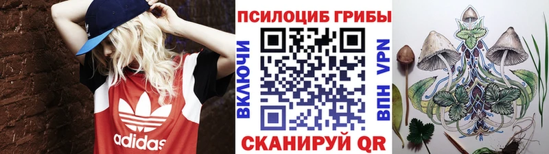 Псилоцибиновые грибы Cubensis  omg ТОР  Белгород 